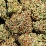 Alternative view of Afghani Death Bubba