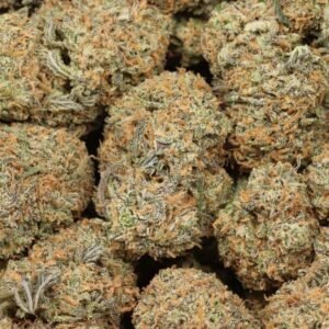 Alternative view of Afghani Kush