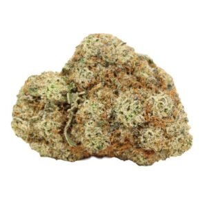 Apple Fritter