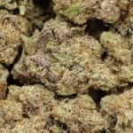Alternative view of Banana Punch AAAA+ Hybrid Craft