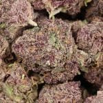 Black Cherry OG