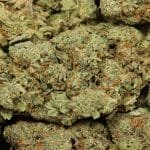 Bombsicle AAAA+ Indica Craft