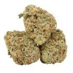 Girl Scout Cookies