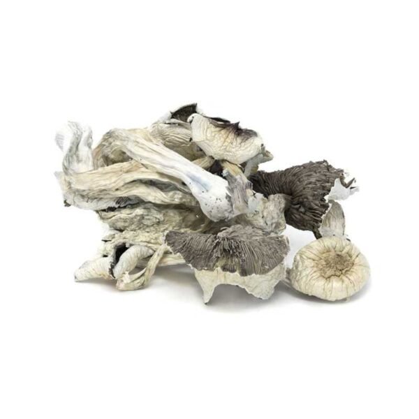 Great White Monster Mushroom
