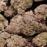 Huckleberry Soda