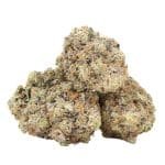 Alternative view of Mike Tyson OG