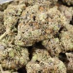 Mike Tyson OG