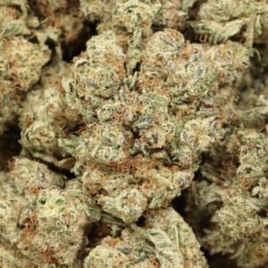 Alternative view of MK Ultra