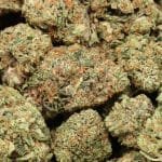 Pink Cookies AAAA+ Indica Craft