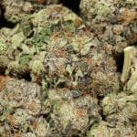 Alternative view of Pink Wagyu AAAA+ Indica Craft