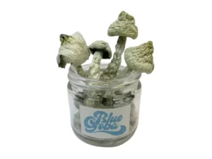 Blue Goba
