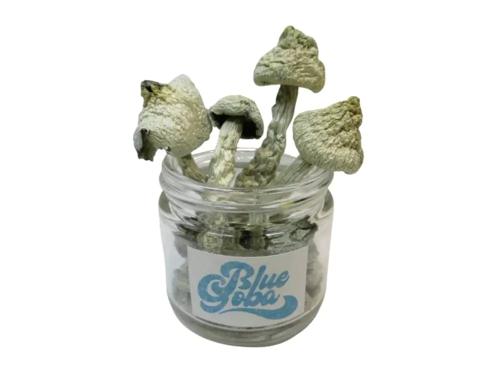 Blue Goba