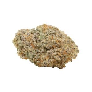 Sugar Cookie