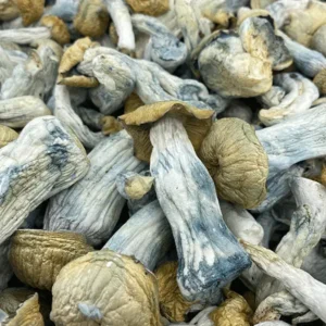 Yeti Mushroom Strain