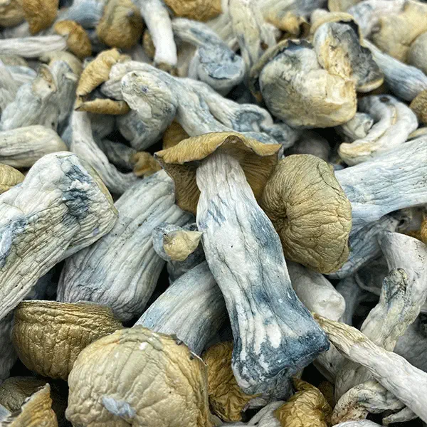 Yeti Mushroom Strain