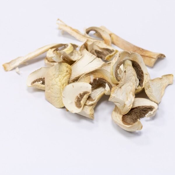 Horse Mushroom