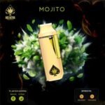 Mojito Ace Ultra Mini Gen 4 – 2G Hybrid Disposable Vape