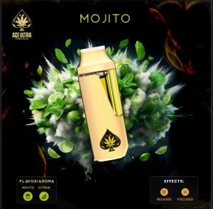 Mojito Ace Ultra Mini Gen 4 – 2G Hybrid Disposable Vape