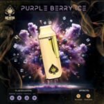 Purple Berry Ice Ace Ultra Mini Gen 4 – 2G Hybrid Disposable Vape