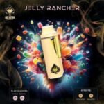 Jelly Rancher Ace Ultra Mini Gen 4 – 2G Hybrid Disposable Vape