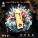 Watermelon Mint Ace Ultra Mini Gen 4 – 2G Hybrid Disposable Vape