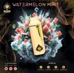 Watermelon Mint Ace Ultra Mini Gen 4 – 2G Hybrid Disposable Vape