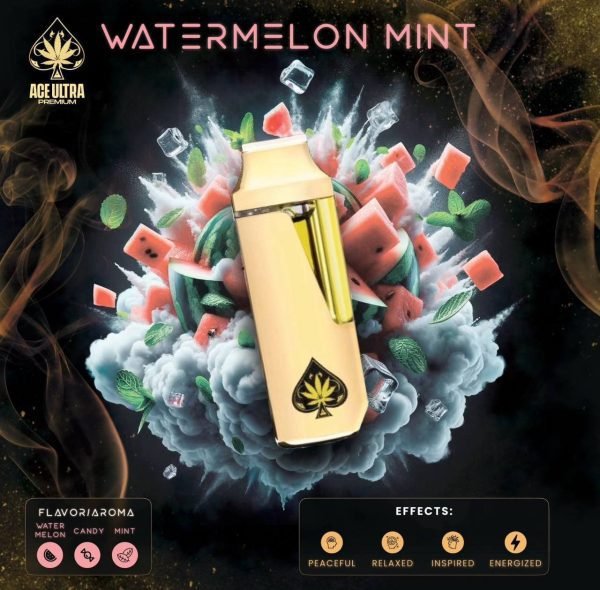 Watermelon Mint Ace Ultra Mini Gen 4 – 2G Hybrid Disposable Vape