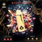 Berry Chill Ace Ultra Mini Gen 4 – 2G Hybrid Disposable Vape